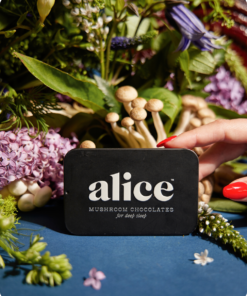 Alice Mushrooms Nightcap
